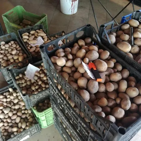 Rocciamelone 3* Suse