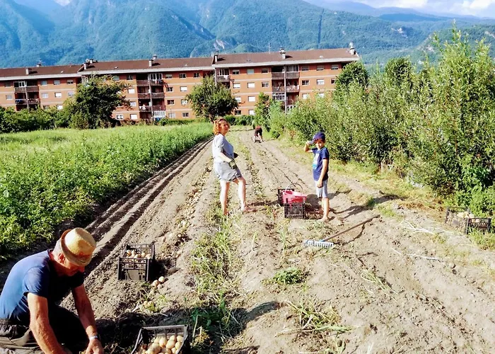 Bed & Breakfast Rocciamelone 3*